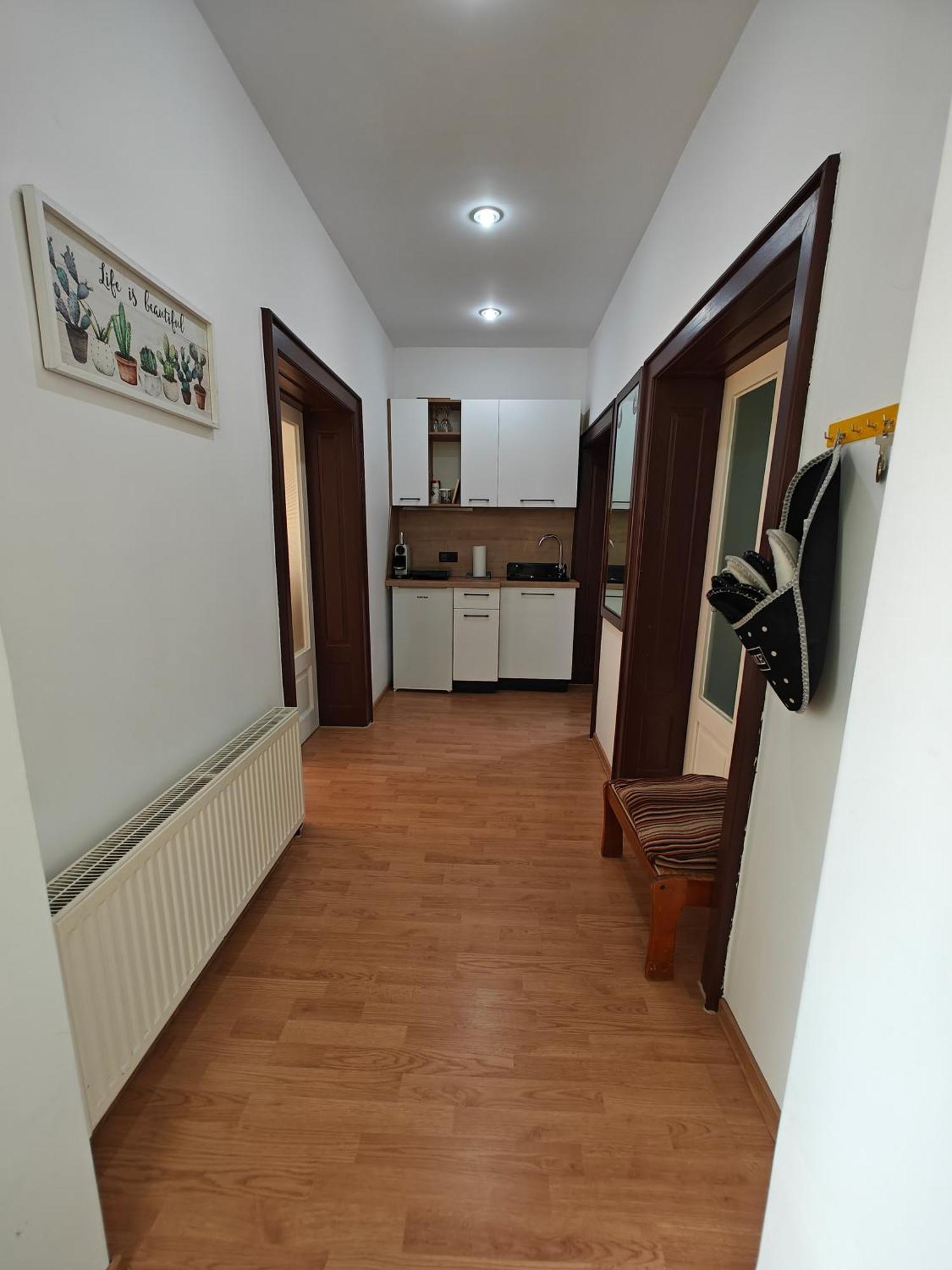 Transsylvanian Wolves Apartment 시비우 외부 사진
